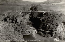 Sapinero Bridge over Lake Fork of the Gunnison Postcard