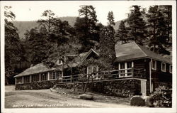 Bruin Inn, North Cheyenne Canon Colorado Springs, CO Postcard Postcard