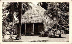 Little grass shack Postcard