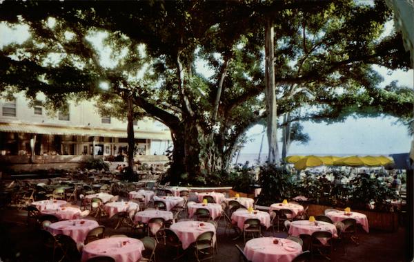 Moana Hotel's World Famous Banyan Court Lanai Honolulu Hawaii