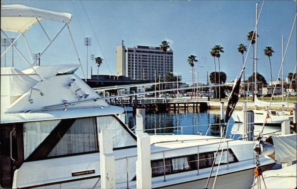 St. Peteresburg Hilton St. Petersburg Florida