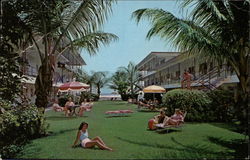 Tropic Terrace Apt. Motel St. Petersburg, FL Postcard Postcard