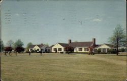 Camp Lejeune Golf Course Postcard
