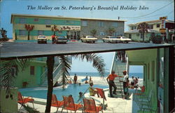 Molloy Gulf Motel & Cottages Postcard