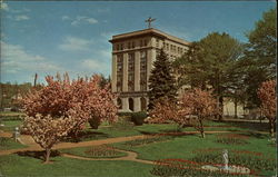 King's College at Cherry Blossom Time King's College at Cherry Blossom Time
