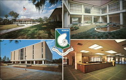 The University of West Florida The University of West Florida