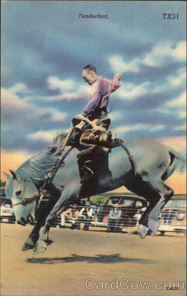 Tenderfoot Rodeo Scene Horses