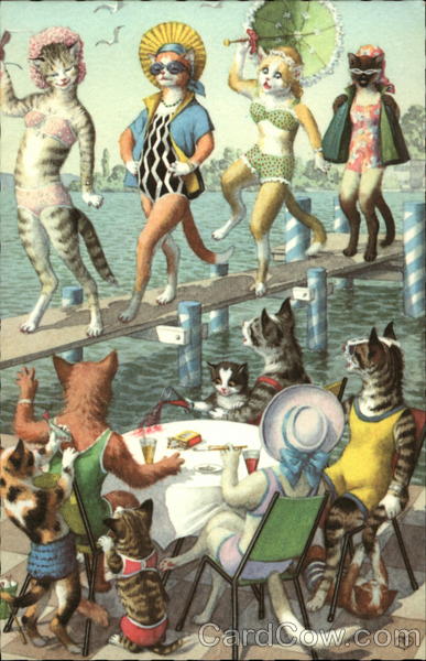 Cats as bathing beauties