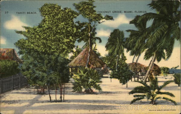 Tahiti Beach, Coconut Grove Miami Florida
