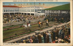 Horses leaving paddock, Churchill Downs Postcard