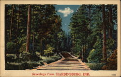 Greetings - View of Country Road Greetings - View of Country Road
