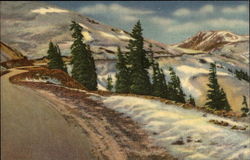 Timberline In The Rockies Pikes Peak, CO Postcard Postcard