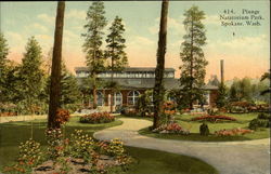 Plunge Natatorium Park Postcard