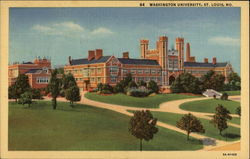 Washington University Postcard