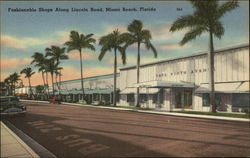 Fasionable shops along Lincoln Road Postcard