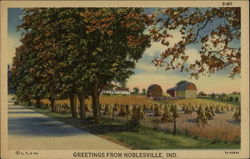 Greetings from Noblesville Indiana Postcard Postcard