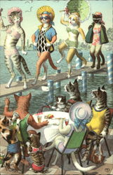 Cats as bathing beauties Postcard