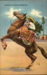 Beautiful Mexian horsewoman Postcard