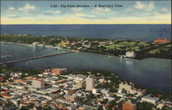 The Palm Beaches A Bird's Eye View Postcard