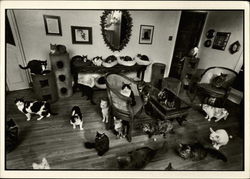 The Katzes (with Moe at center), 1981 Terry Roy Gruber
