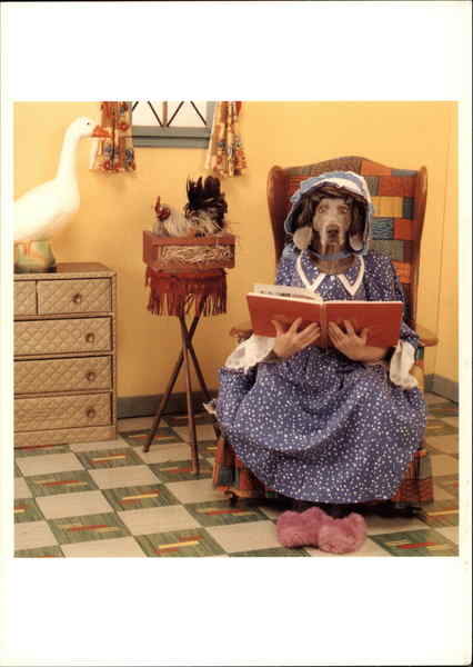 Mother Goose William Wegman Modern