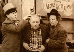 Three Stooges Postcard