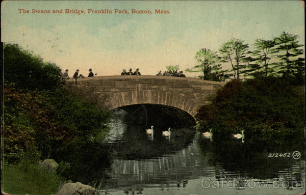 The Swans and Bridge, Franklin Park Boston Massachusetts