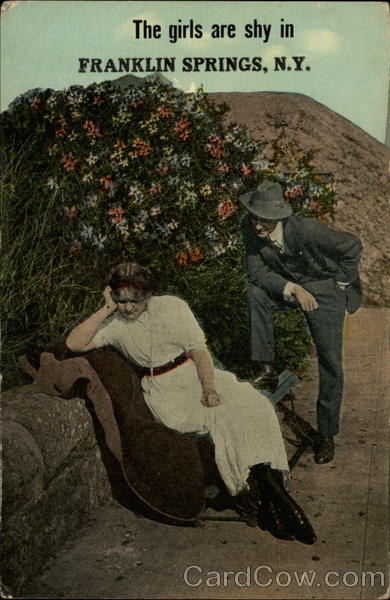 The Girls are Shy Franklin Springs New York