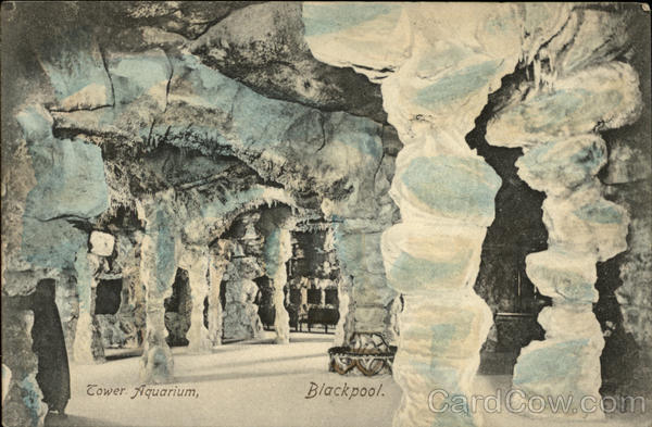 Tower Aquarium Blackpool England Lancashire