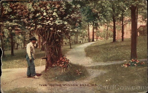 Tree Spring Winona Lake Indiana