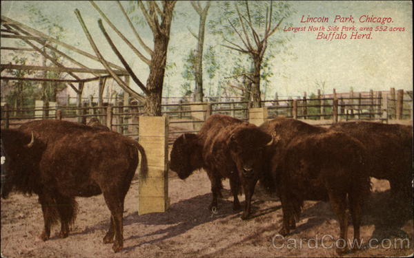 Lincoln Park Chicago Illinois