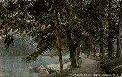 View of Vassar Lake Postcard