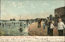 People on Captains Island or Magazine Beach Postcard