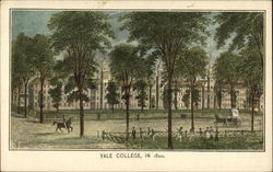 Yale College, in 1800 Postcard