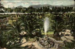 Stock #244267 Thumbnail