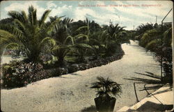 Casa de Las Palmas. Home of Jacob Stern Postcard