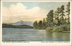 New England Views on Boston & Maine RR Madison, NH Postcard Postcard