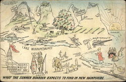 What the summer boarder expects to find in New Hampshire Postcard