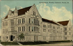 Gymnasium, Bradley Institute Peoria, IL Postcard Postcard