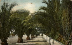 Residence Street Postcard