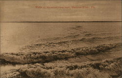 Wake of Manatee River boat Postcard
