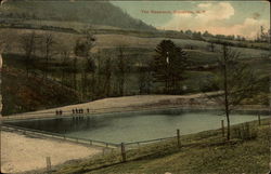 The Reservoir Dansville, NY Postcard Postcard