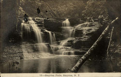 Smyrna Falls New York Postcard 