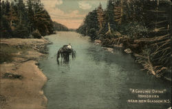 "A cooling drink" Woodburn Postcard