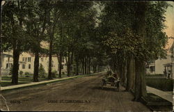 Grand St Cobleskill, NY Postcard Postcard