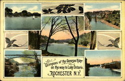 Glimpses of the Genesee River on the way to Lake Ontario Postcard