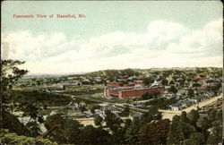 Panoramic View Hannibal, MO Postcard Postcard