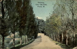 Driveway, Glen Oak Park Peoria, IL Postcard Postcard