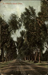 Stock #244797 Thumbnail