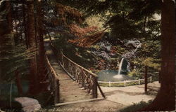 Rustic Bridge and Fountain, City Park Postcard
